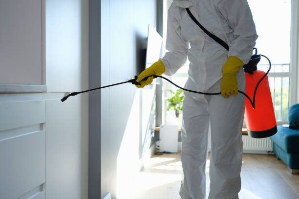 Attic Mold Removal in Prior Lake, MN