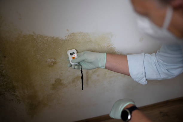 Water Damage Restoration in Prior Lake, MN